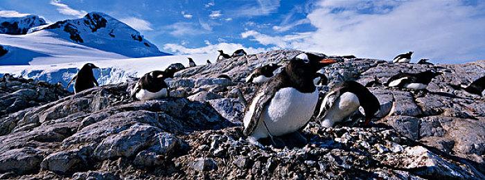 又一款续作2D变3D 格斗游戏《以太之战2》公布